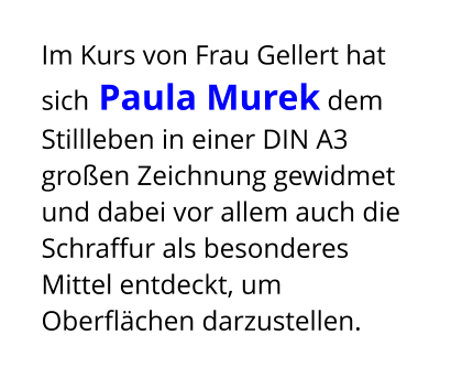Im Kurs von Frau Gellert hat sich Paula Murek dem Stillleben in einer DIN A3 großen Zeichnung gewidmet und dabei vor allem auch die Schraffur als besonderes Mittel entdeckt, um Oberflächen darzustellen.