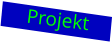 Projekt