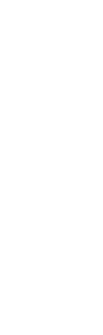 die Abiturientinnen