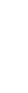 die Abiturientinnen