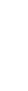 die Abiturientinnen
