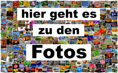 hier geht es  zu den  Fotos