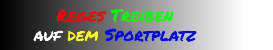 Reges Treiben  auf dem Sportplatz