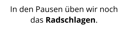 In den Pausen üben wir noch das Radschlagen.