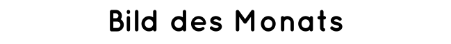 Bild des Monats