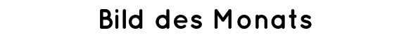 Bild des Monats