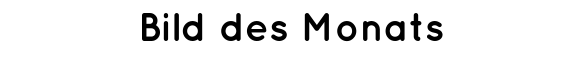 Bild des Monats