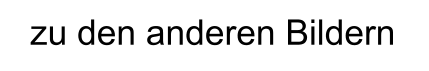 zu den anderen Bildern