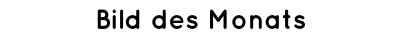 Bild des Monats