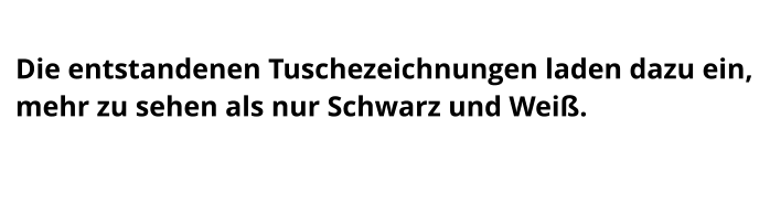 Die entstandenen Tuschezeichnungen laden dazu ein, mehr zu sehen als nur Schwarz und Weiß.