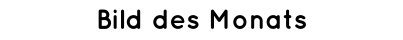 Bild des Monats
