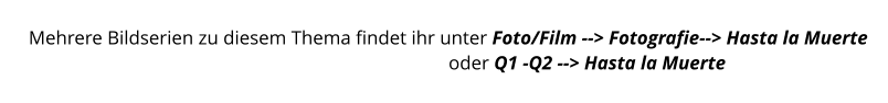 Mehrere Bildserien zu diesem Thema findet ihr unter Foto/Film --> Fotografie--> Hasta la Muerte                                                                                        oder Q1 -Q2 --> Hasta la Muerte