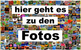 hier geht es  zu den  Fotos