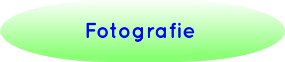 Fotografie