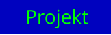 Projekt