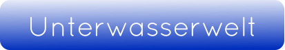 Unterwasserwelt