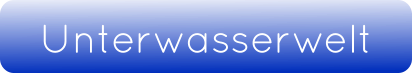 Unterwasserwelt