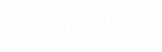 Projekt