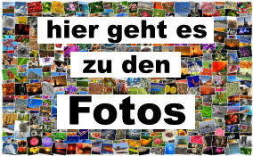 hier geht es  zu den  Fotos