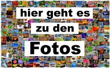 hier geht es  zu den  Fotos
