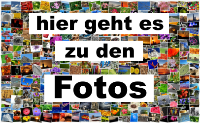 hier geht es  zu den  Fotos
