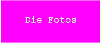 Die Fotos