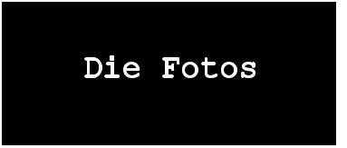 Die Fotos