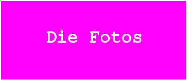 Die Fotos
