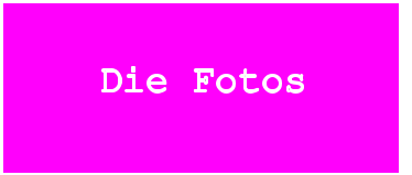 Die Fotos