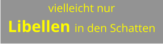 vielleicht nur  Libellen in den Schatten