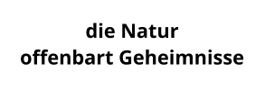 die Natur  offenbart Geheimnisse