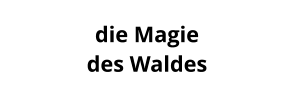 die Magie  des Waldes