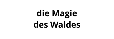 die Magie  des Waldes