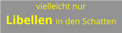 vielleicht nur  Libellen in den Schatten