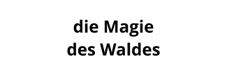 die Magie  des Waldes