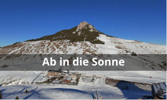 Ab in die Sonne