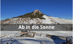 Ab in die Sonne