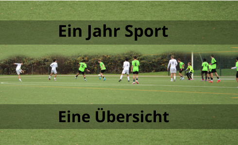 Ein Jahr Sport Eine Übersicht