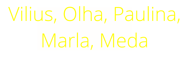Vilius, Olha, Paulina, Marla, Meda