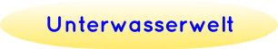 Unterwasserwelt